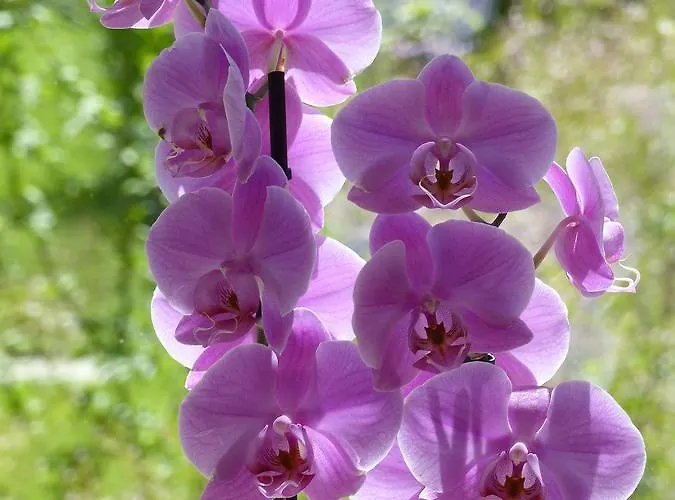 Διαμέρισμα 